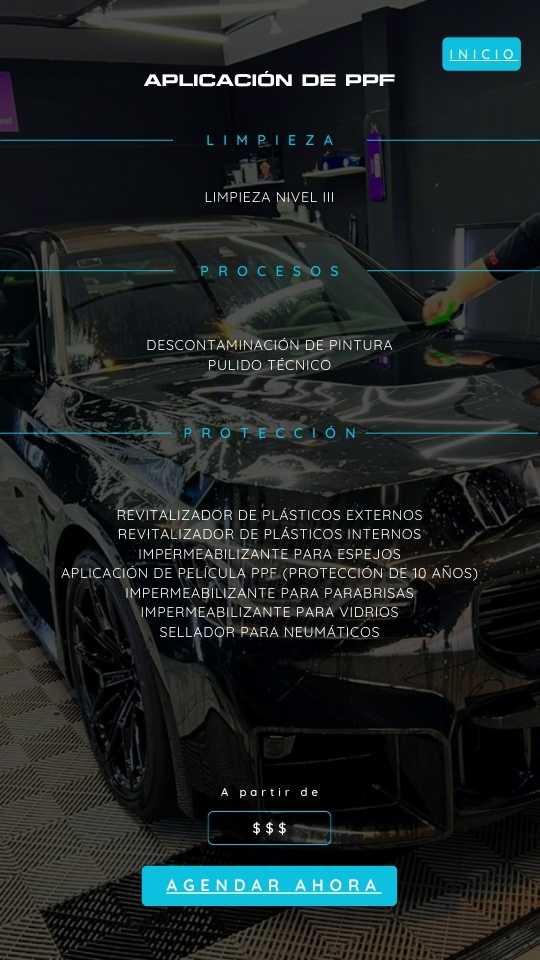 APLICACIÓN DE PPF