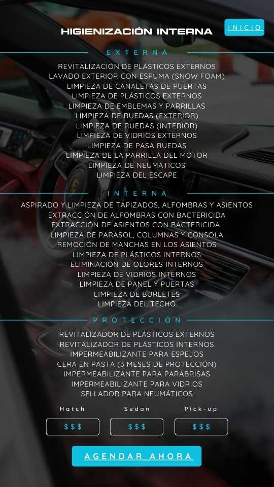 Higienización interna