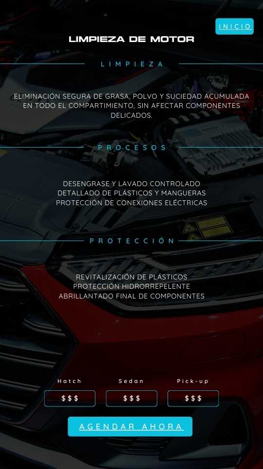 LIMPIEZA DE MOTOR