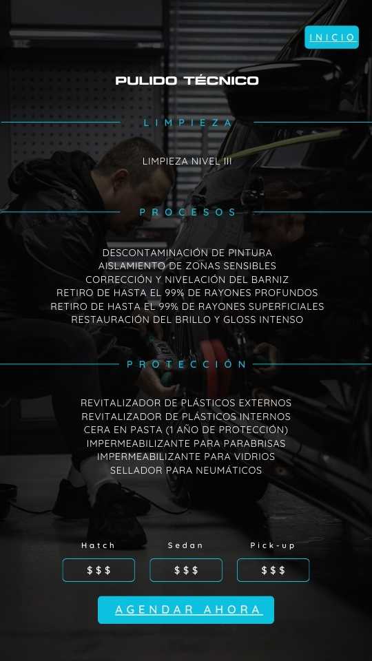Pulido técnico